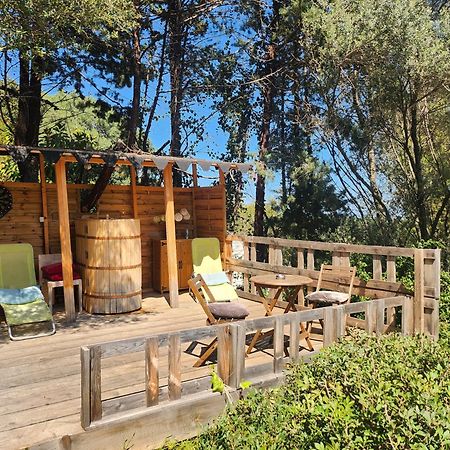 Coin Exotique Villa Casaeva Porto-Vecchio (Corsica) Exterior foto